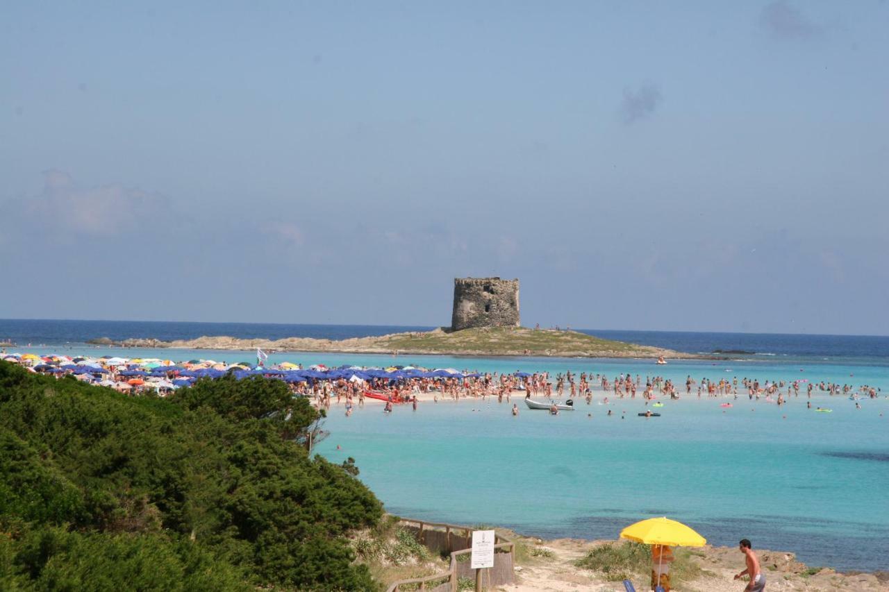 Stintino Country Paradise - Resort & Villas Экстерьер фото
